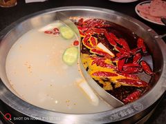-山城棒棒军手作火锅·天花板手撕水牛鲜毛肚(北京店)