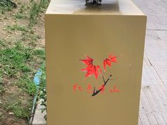 -香山公园