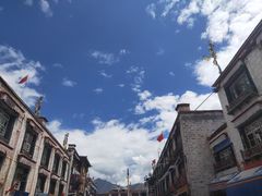 -古树酸奶(八廓南街店)