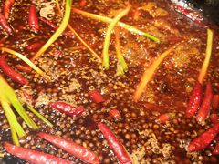 -蜀辣居鲜货老火锅(红牌楼店)