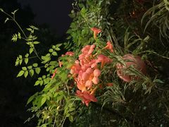 景观位-一江春水·杭帮臻宴(三台山店)