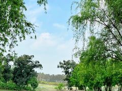 -两河城市森林公园
