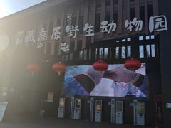-青藏高原野生动物园
