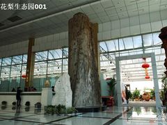 大堂（黄花梨）-龙凤山庄(永定镇店)