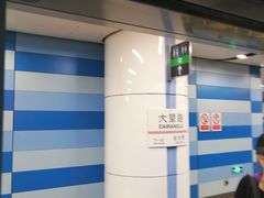-大望路(地铁站)