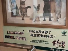 -爱侣·安琦尔宠物医院·中兽医针灸·心内科·狂犬免疫点(宝山区院)
