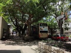 -九龙公园