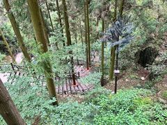 -刘伯温故里景区百丈漈