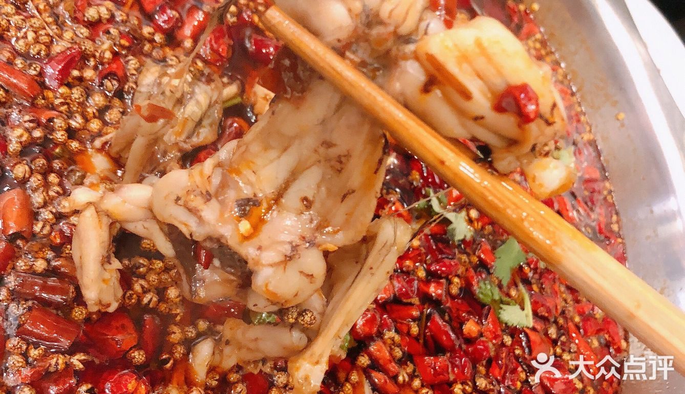 美蛙鱼头打卡 滴