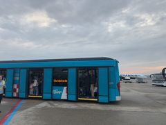 -米兰-马尔彭萨机场