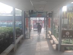 -苏州古运河游船(新市桥码头)