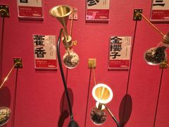 -北京大葆台遗址博物馆