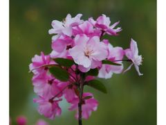 -蠡湖中央公园
