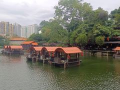 -侨美·唐荔园·40年地道粤菜