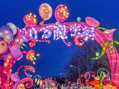 -沈阳奥体冰雪嘉年华
