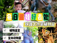 -呀路古热带植物园