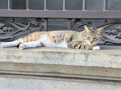 -黄埔古港