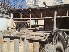 -清风小镇闯关东影视基地