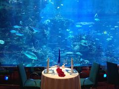 -迪拜帆船酒店海底餐厅