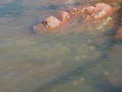 -兴城海滨风景区