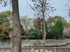 -不觉晓CAMPING(上海迪士尼营地店)