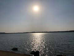 -丁香湖公园