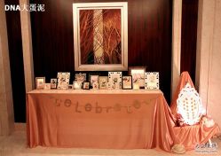 -DNA Wedding 婚礼记(上海店)