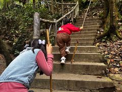 -藏龙百瀑风景区