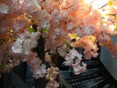 -海口骑楼小吃街