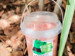 -奈雪的茶(新天地广场PRO店)