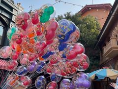 -上海迪士尼度假区