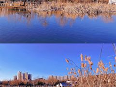 -前关湿地公园