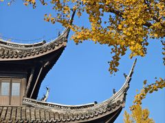 -红梅公园