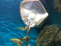 -福州罗源湾海洋世界旅游区