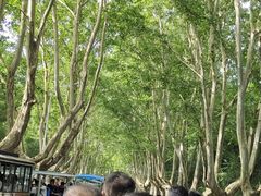 -回味鸭血粉丝汤(砂之船店)