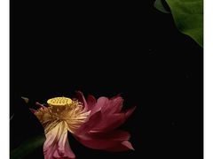 -西南交通大学(九里校区)