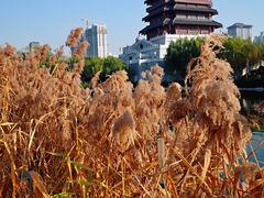 景点-西安汉城湖景区