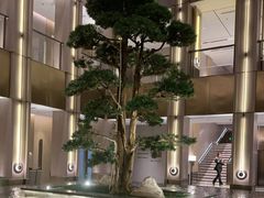 -外滩·云南人家(昆明旗舰店)