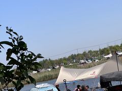 -春花秋色城市公园