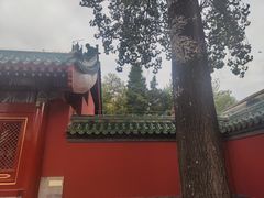 -潭柘寺景区