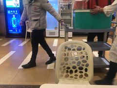 -宏宴·新京菜(望京店)