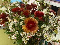 -双季花艺园艺市场(浦东店)