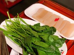 菠菜-袁老四重庆老火锅(桐梓坡店)