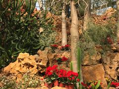 -南通洲际绿博园