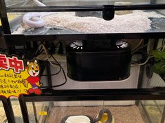 -宝鸡东道花鸟鱼虫市场(吉利花园商场店)