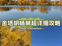 -金塔沙漠胡杨林景区