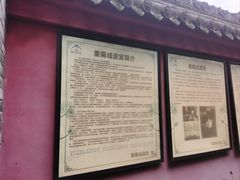 -活死人墓