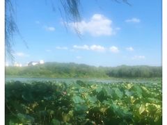 -东华大学(松江校区)