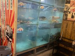 -蛙鱼道美蛙鱼自助火锅(新耍都店)