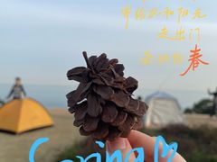 -小麦岛公园
